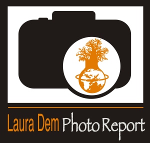 Logo_LauraDemPhotoReport